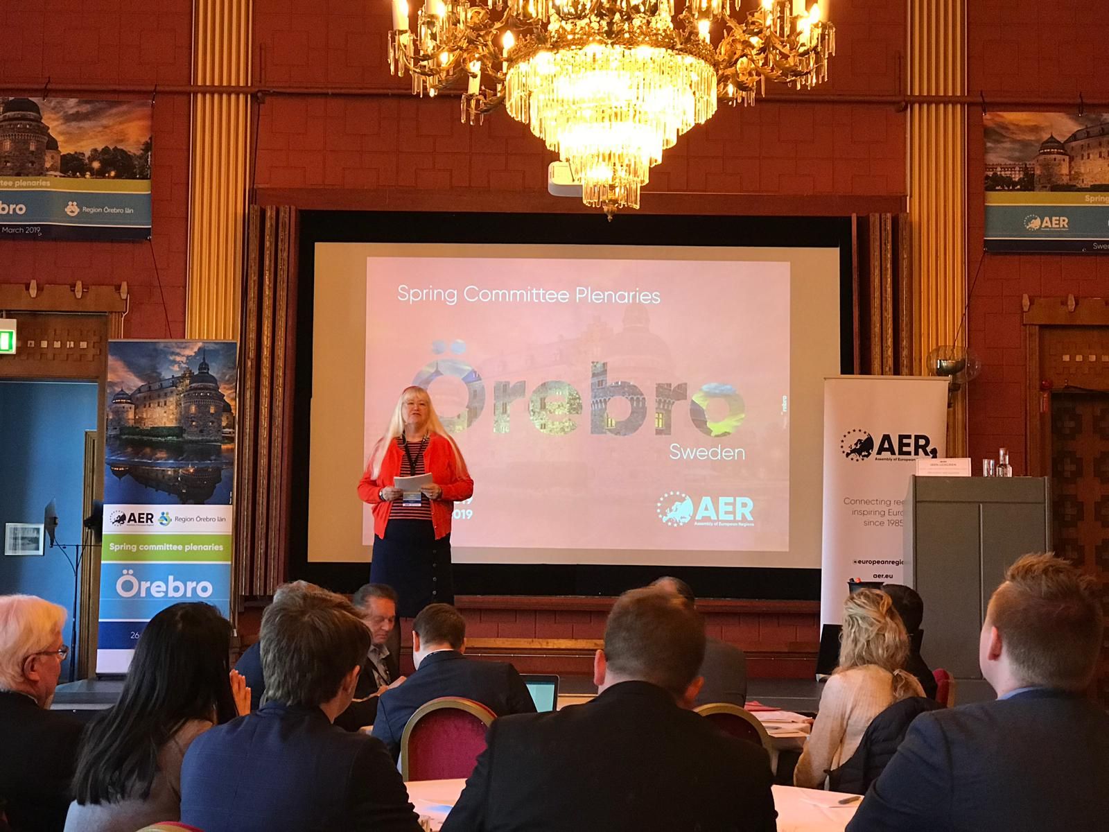 maramureseni la AER4