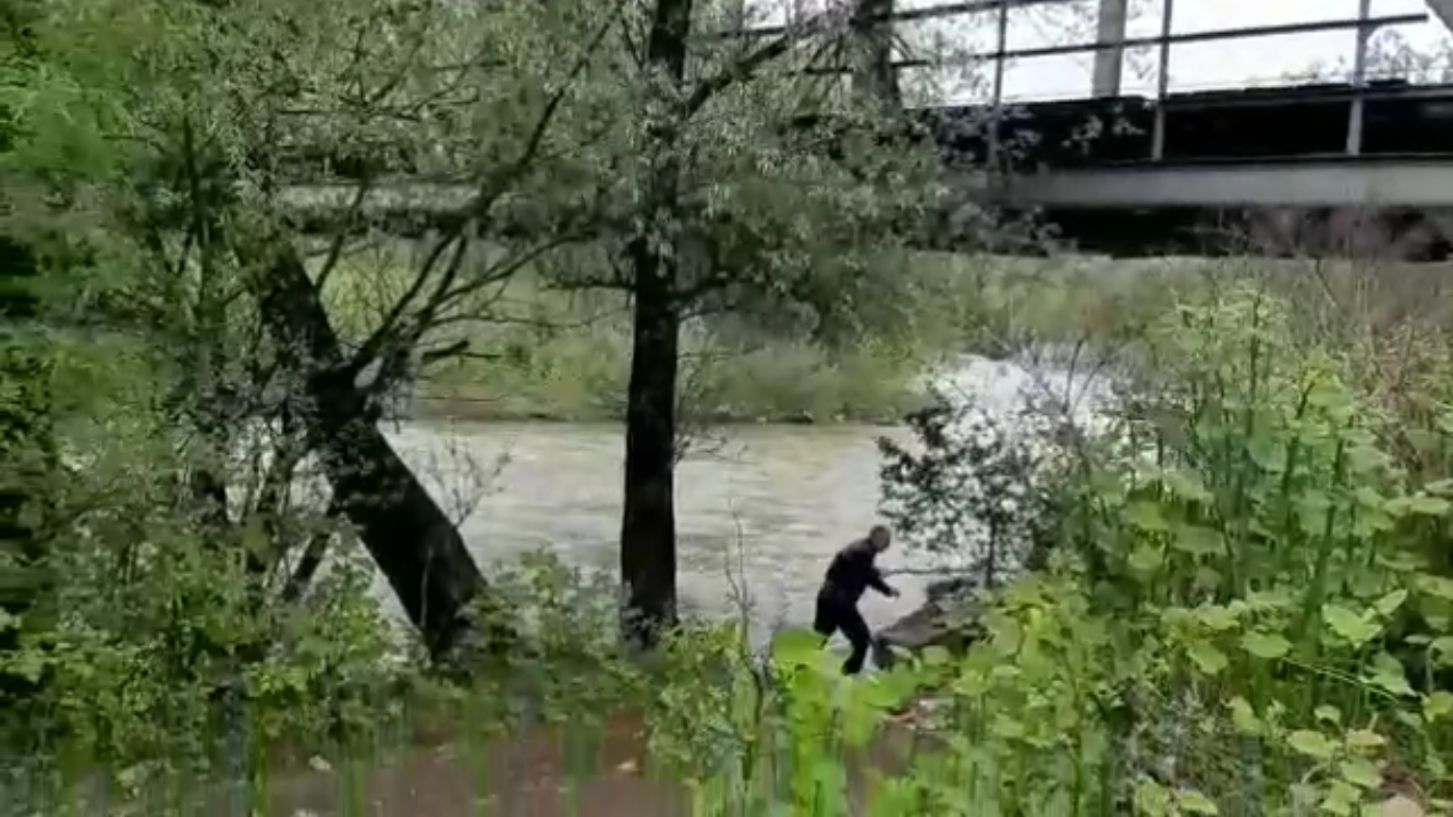 12FB42CD-EF31-4C1E-9C26-7C09F9B41B98