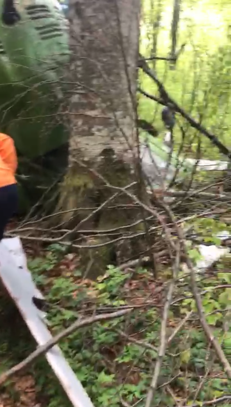 14128DC8-913E-4F0A-A6F4-988D651F827C