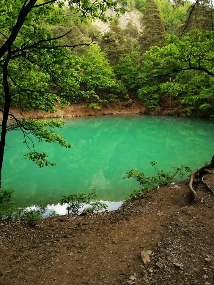 ECDF59B0-CDC7-459B-AE43-E3AF99F0E9B0