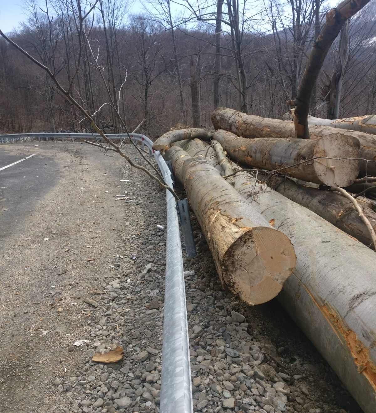 64B68D37-D123-4E00-9D49-8F3ADD726711