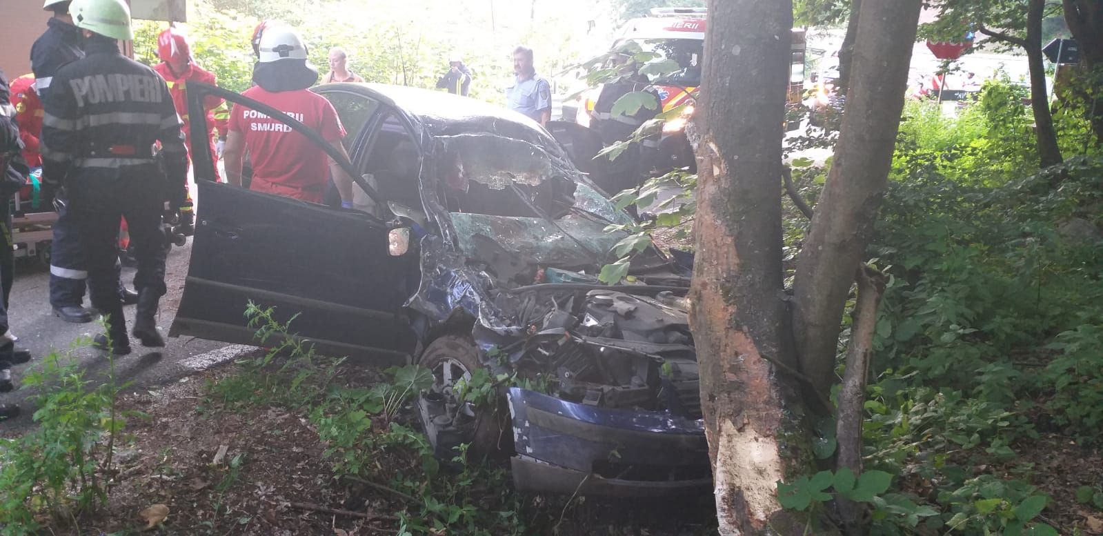 91A75669-5EC3-466B-91A0-8B78D87D31A5