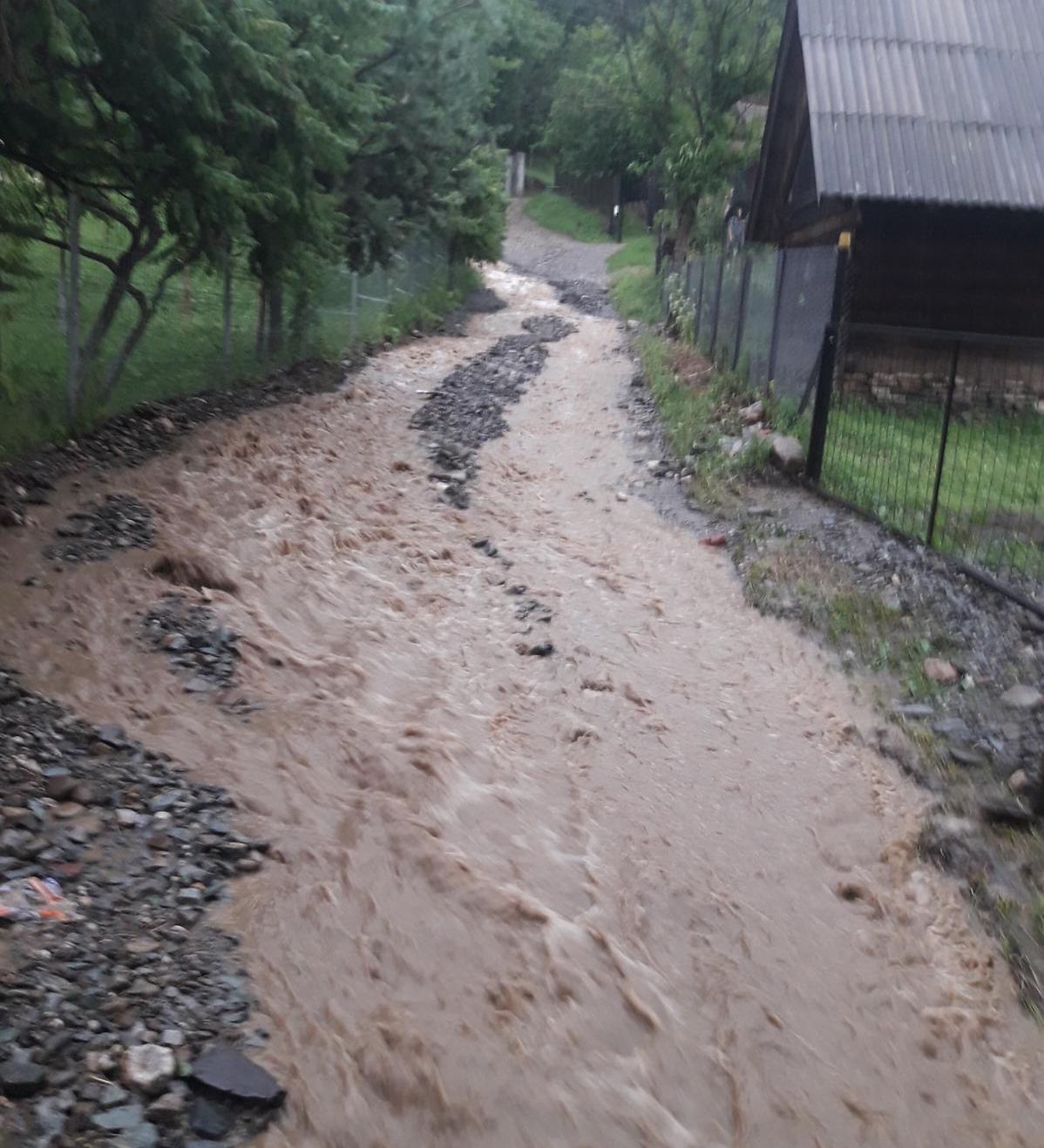 E79868A0-3DF3-45EC-95F5-6E41841C609E