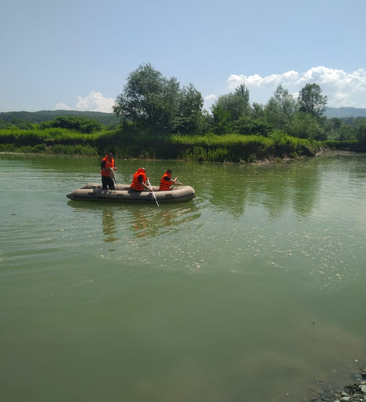 f8c16ad2-96d4-4063-9ca4-9d61615ef018