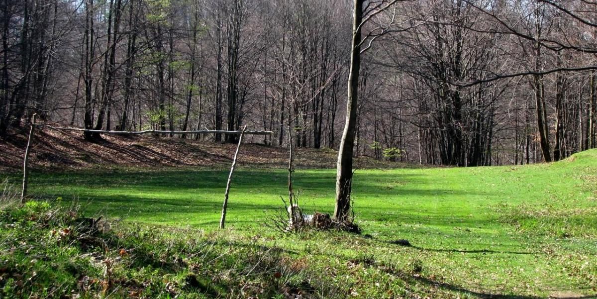 0B6E1D41-2127-42DD-91A7-8FBA100E2E1E