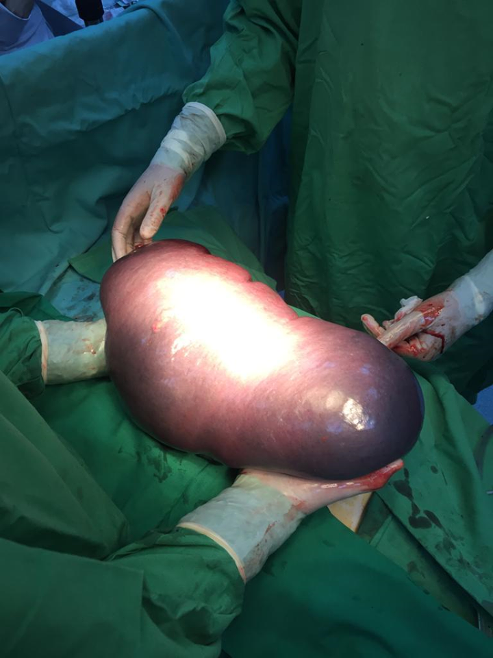 67172971_2371553313117000_476469124764008448_n