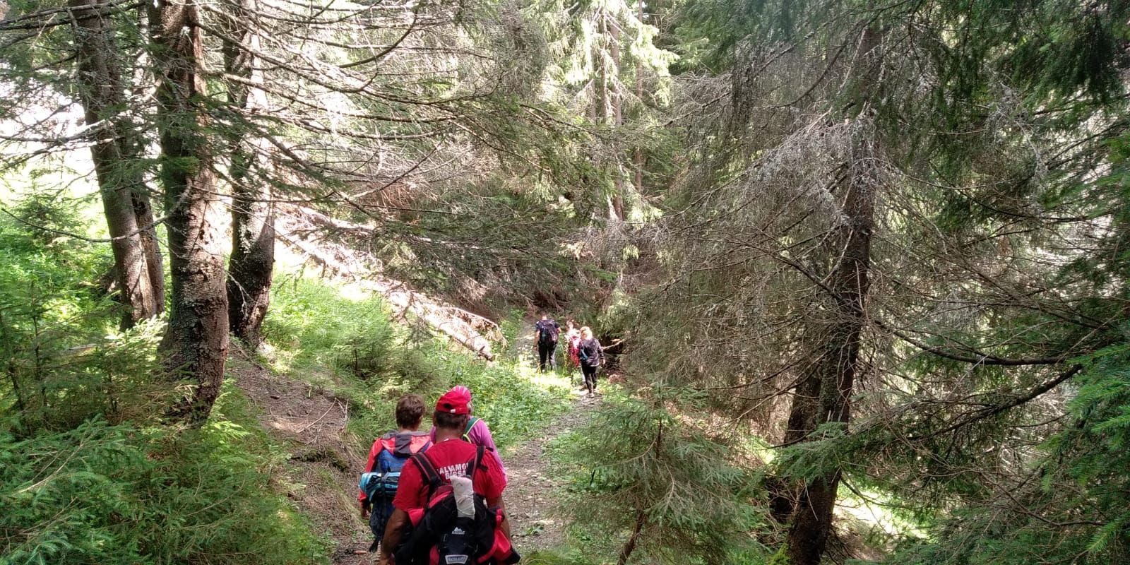 594E8F90-E220-4D0A-8DFD-8C5D2F950686