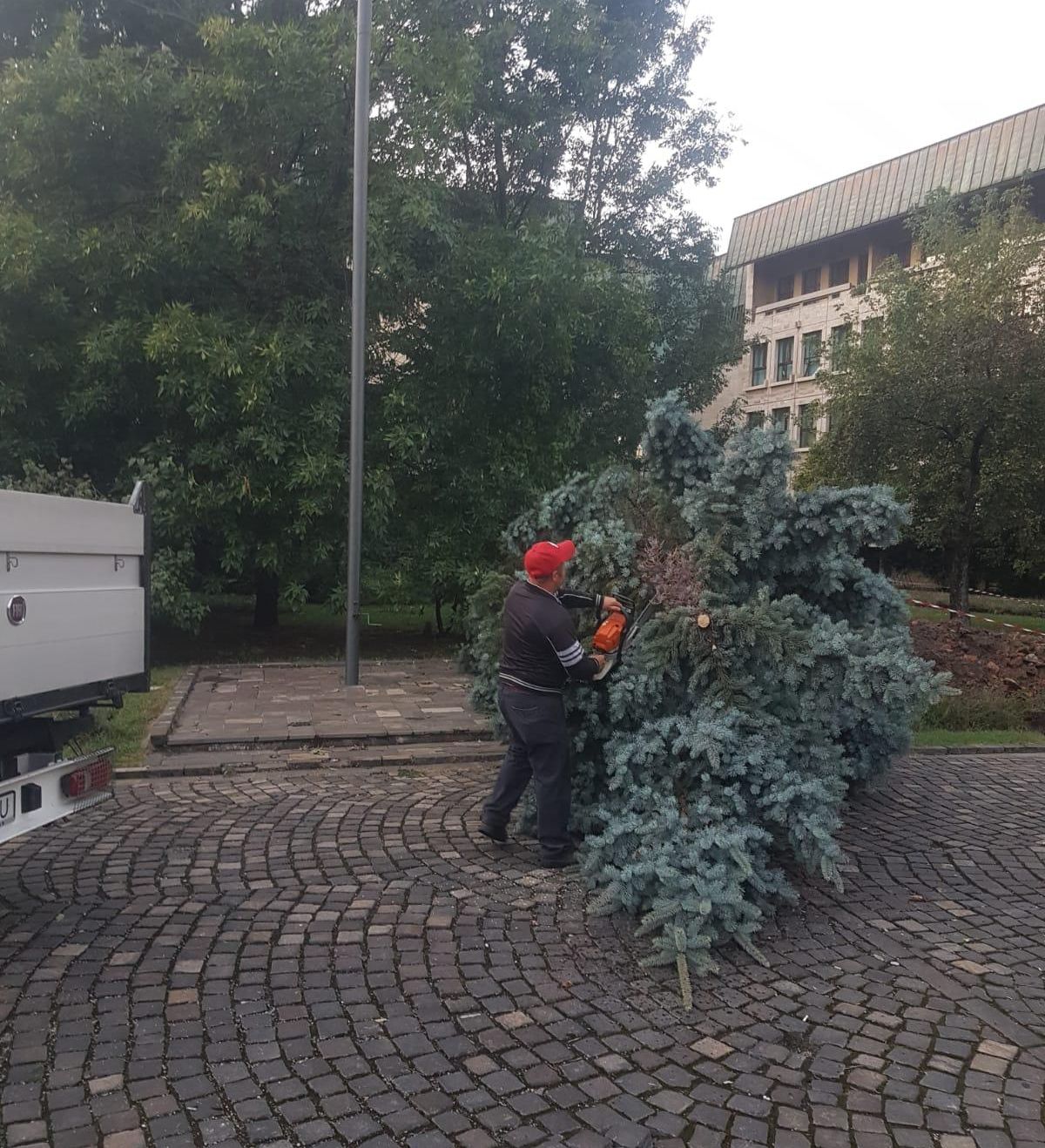 D5F2BCB2-9651-432B-9311-49A886F3539A