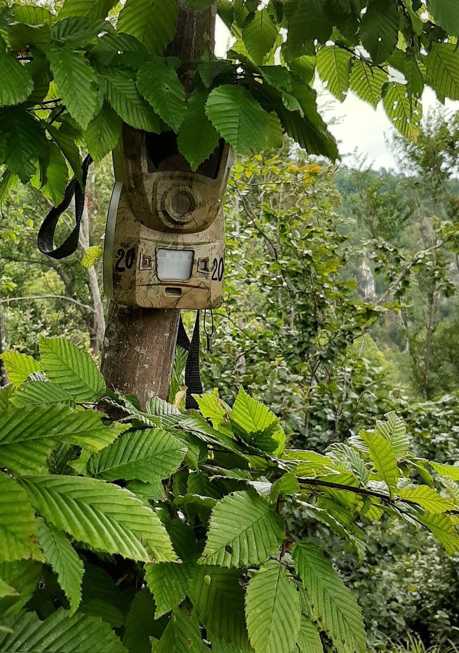 E23D7131-3776-46CA-AB5E-127414123A75