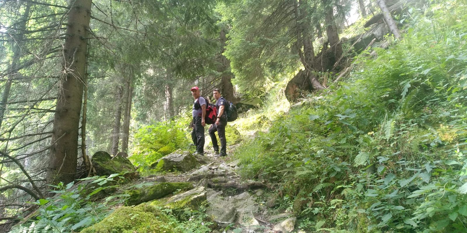 EA689FCB-339D-48F8-B396-0E122B056F96