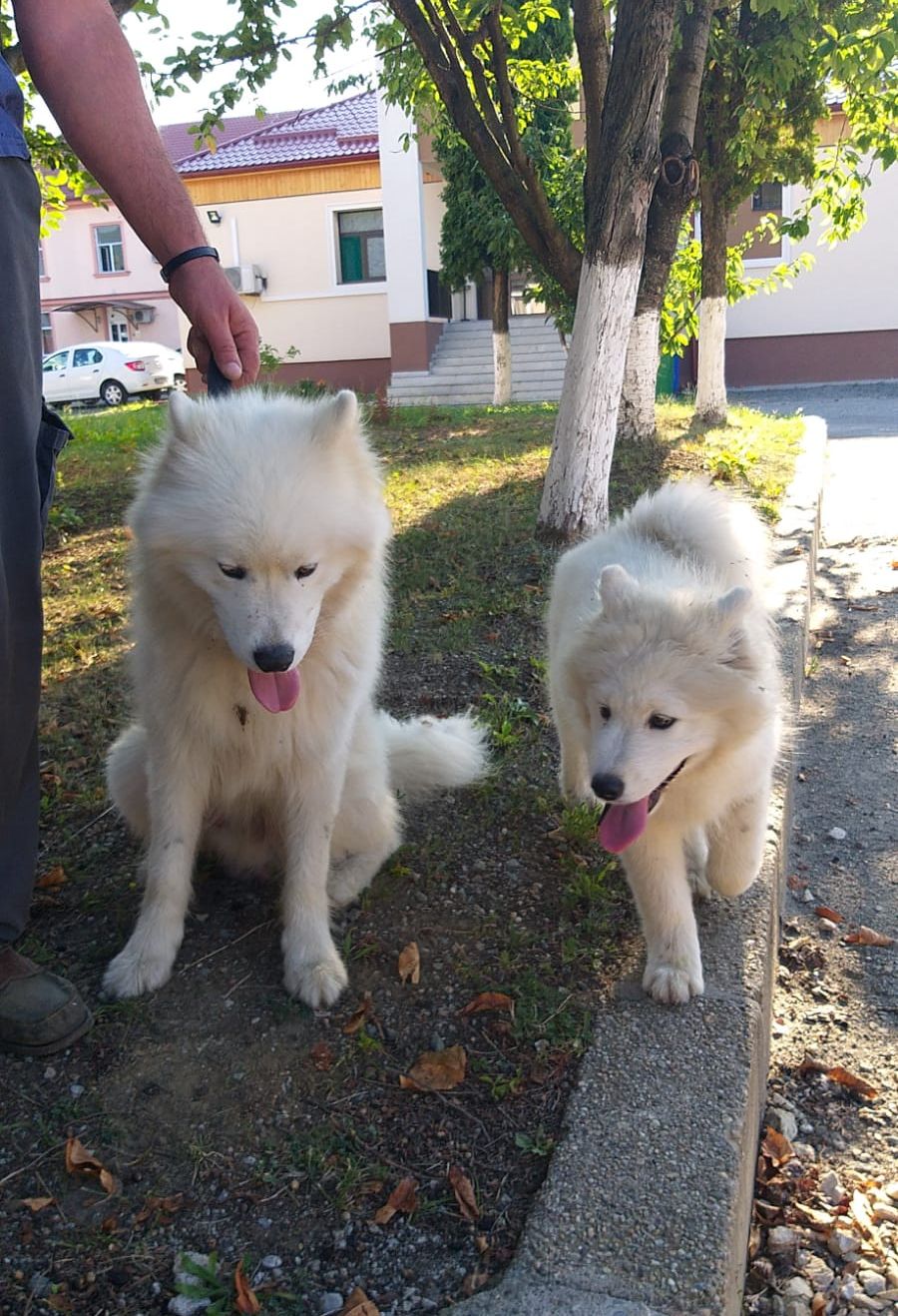 F53411E0-7856-4292-86AB-BC62B4A0C993