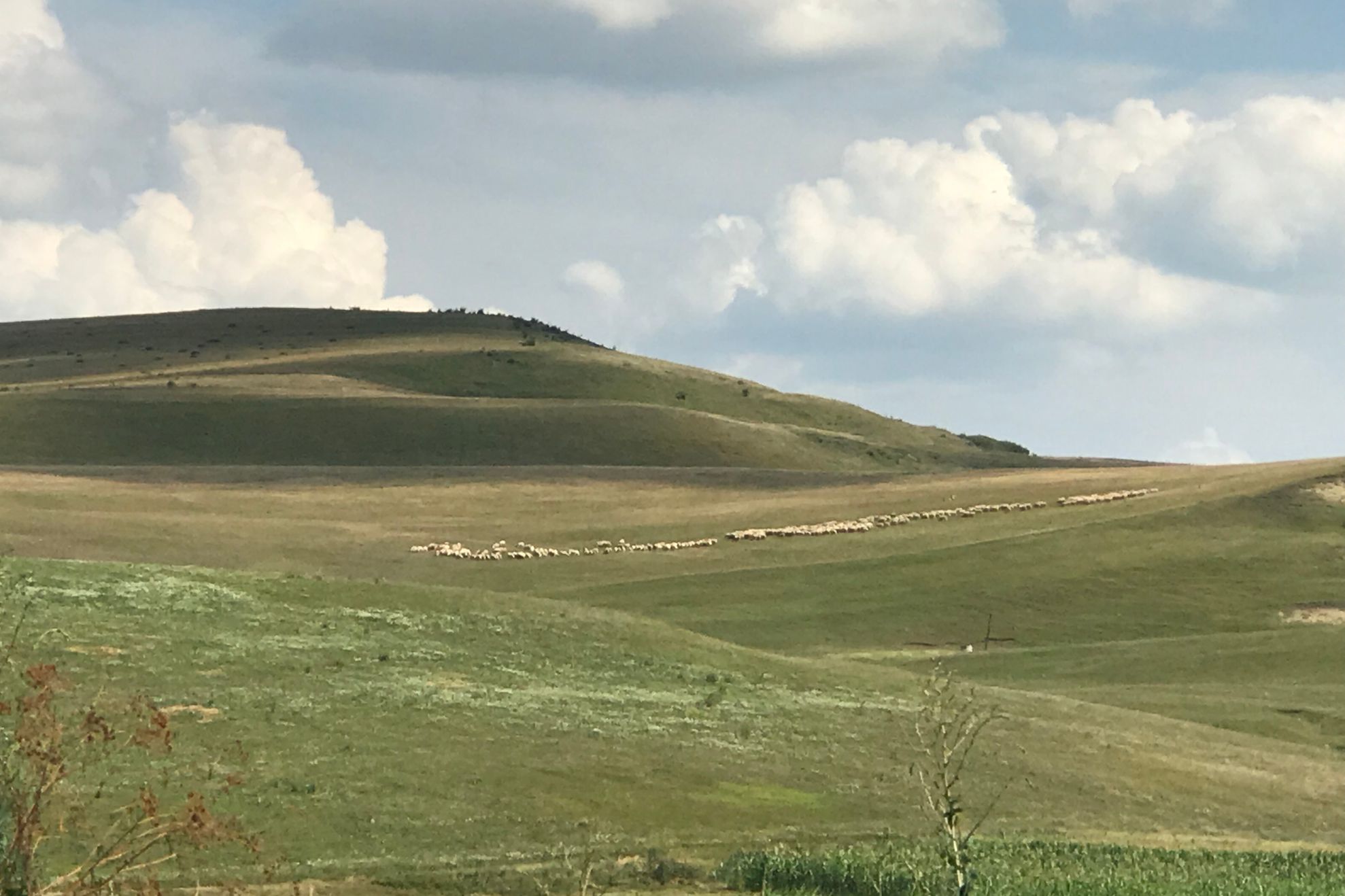 24469BB6-F61E-4A6D-92C7-371C5EFBF3E8