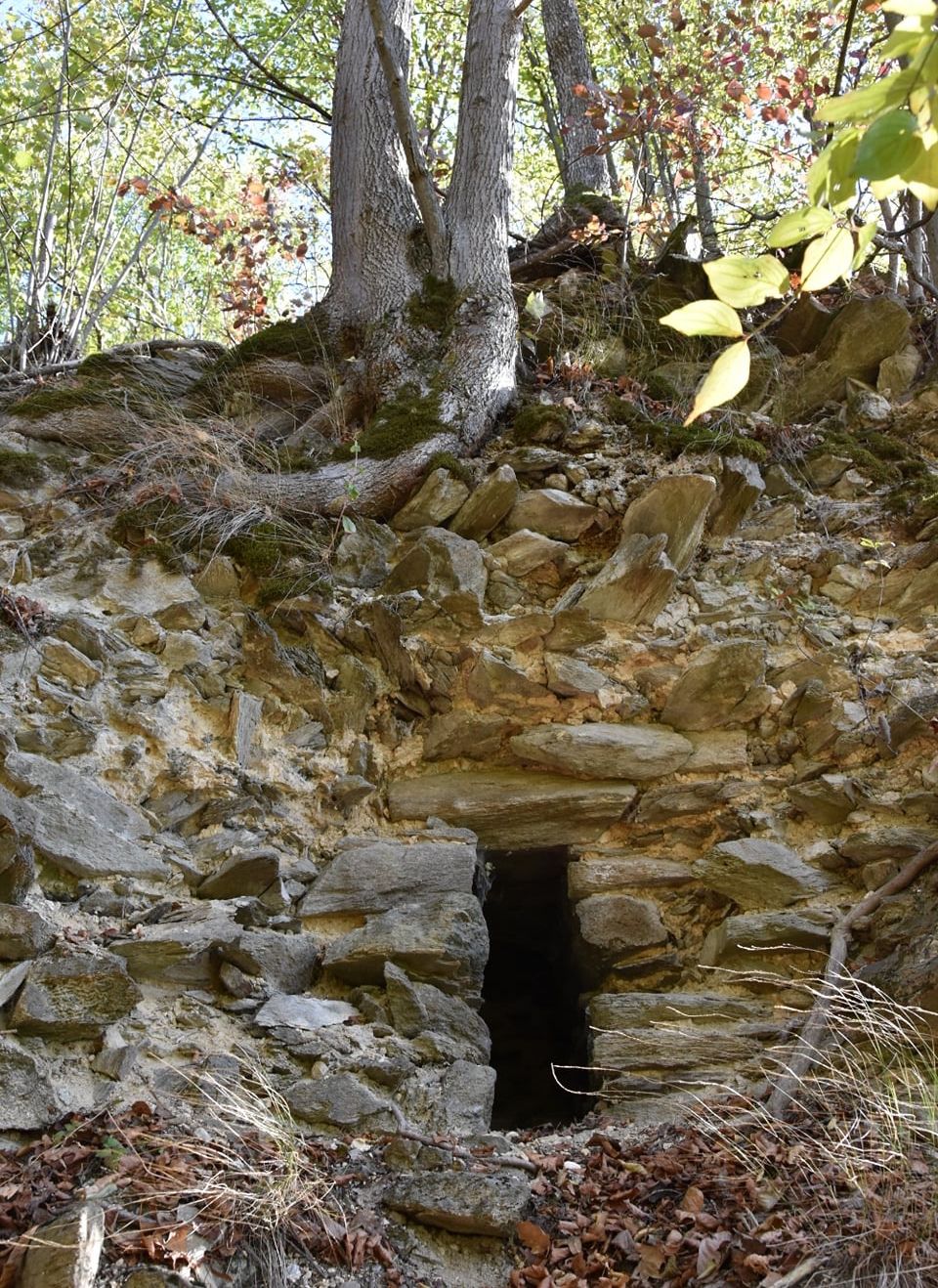 55B6EF76-2409-44CF-A811-8495130C7D31