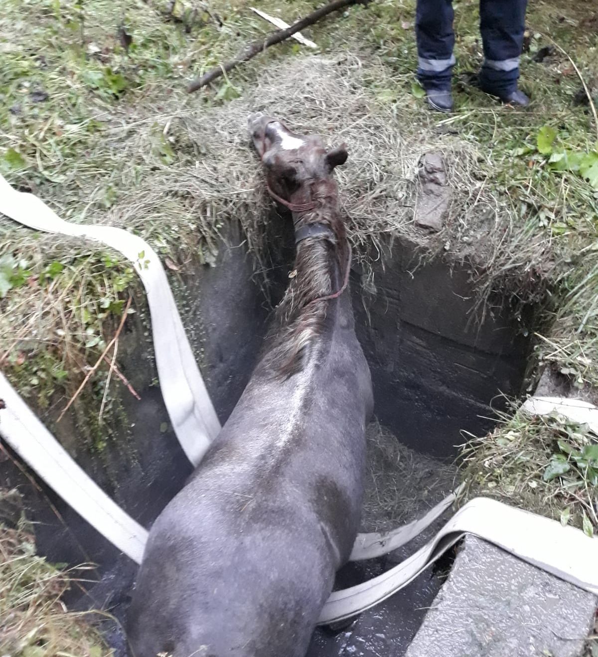 F3BC9799-BE3E-4ACF-BC37-F1A211E7B27B