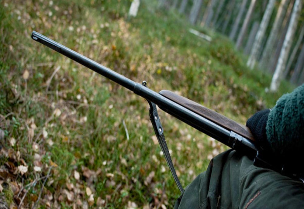 PĂDURARII VOR AVEA ARME LETALE: După moartea pădurarului din Maramureș se schimbă legea