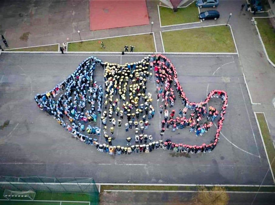 77200356_513341259259403_3905233188942774272_n