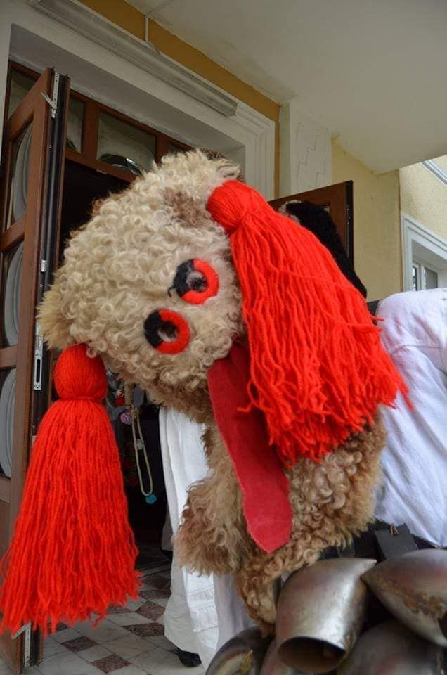 79021510_2258620814243258_8392614942494162944_n