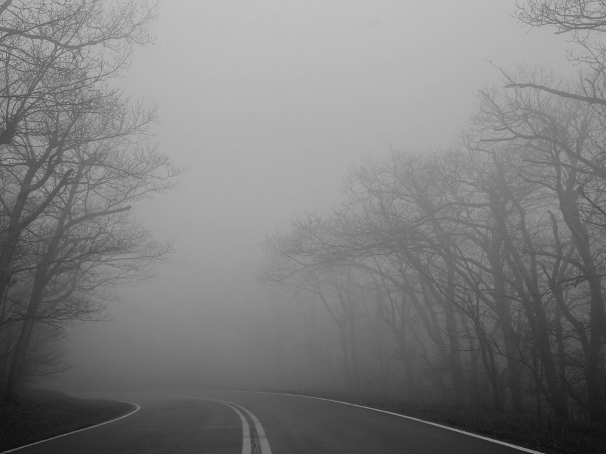 83355119_2821779584527784_4164483561027534848_n