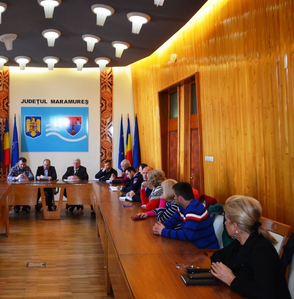 Măsuri de prevenție pentru combaterea influenței aviare de la Seini