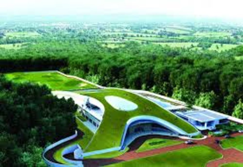 Orașe poluate, păduri defrișate, proiecte pe hârtie. Vrem sa oprim defrișările. Vrem o schimbare.