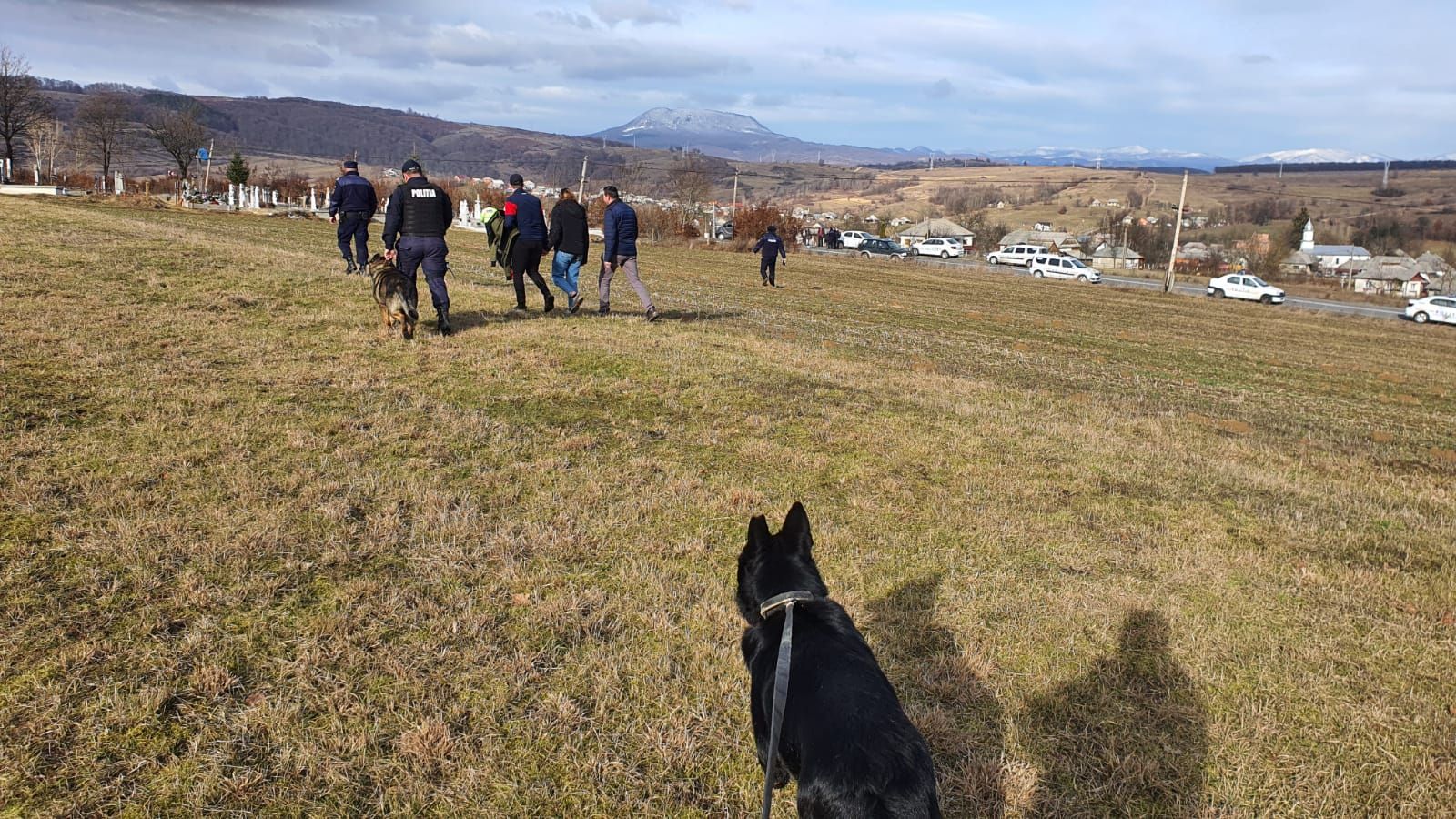 c71b4745-acb4-457b-a52b-87f359db9c42