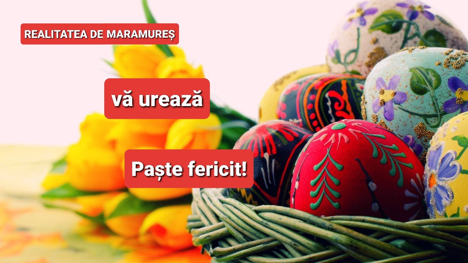 14c56bc3-9e9e-4416-bad0-7ea7d26f6a00