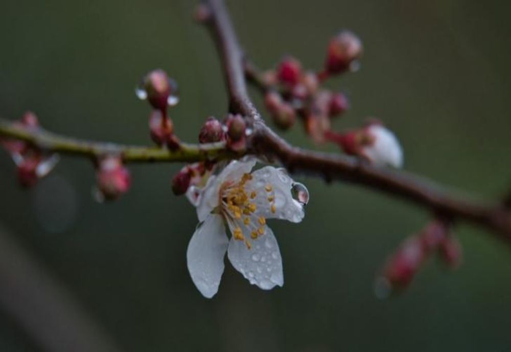 Vremea 17 aprilie 2020 - Ce se întâmplă cu temperaturile în această perioadă
