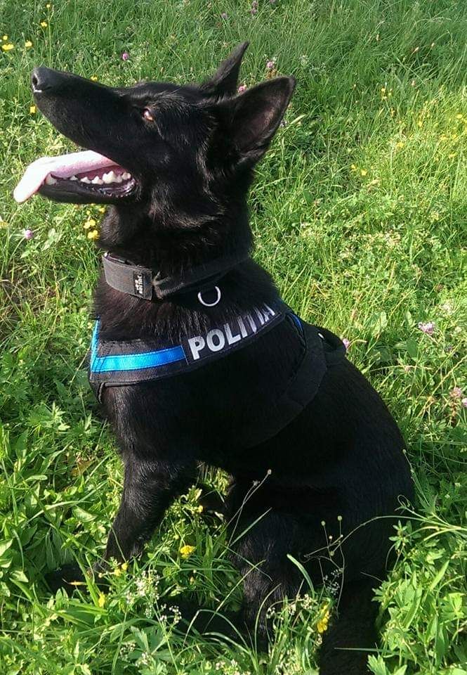 26f778c3-8823-42e6-a88a-c248e113f544