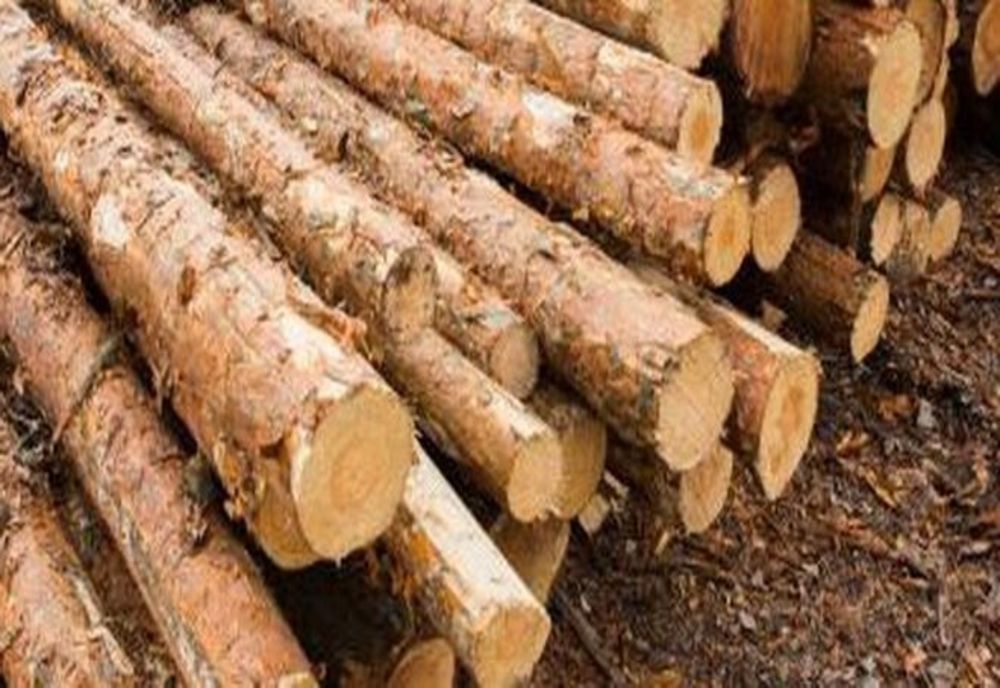 Material lemnos confiscat în Botiza şi Suciu de Sus