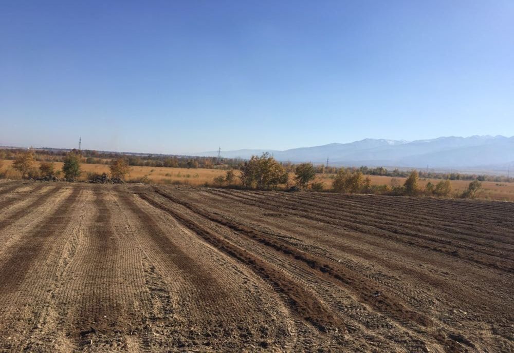 Biserica Ortodoxă  îi îndeamnă pe oameni să își lucreze pământul