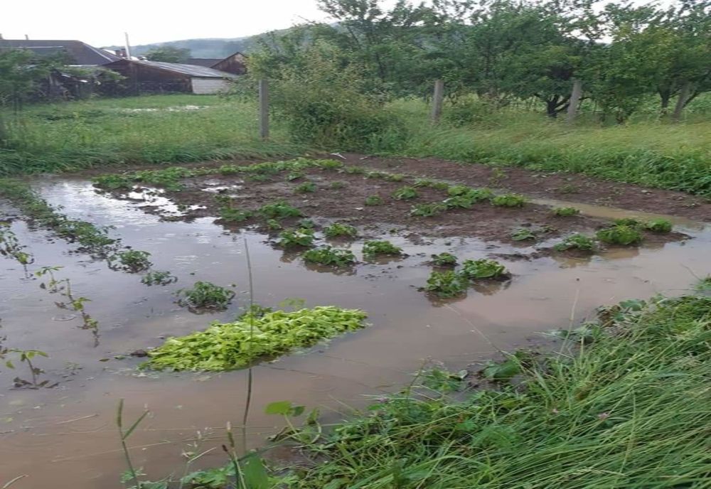 Un consilier local sighetean cere inventarierea pagubelor provocate de ploile din ultimele zile