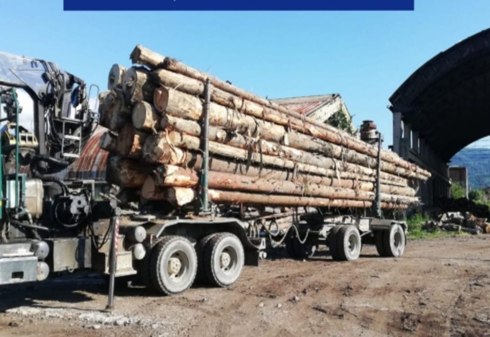 Lemn în valoare de circa 82.000 lei, confiscat de polițiștii maramureșeni