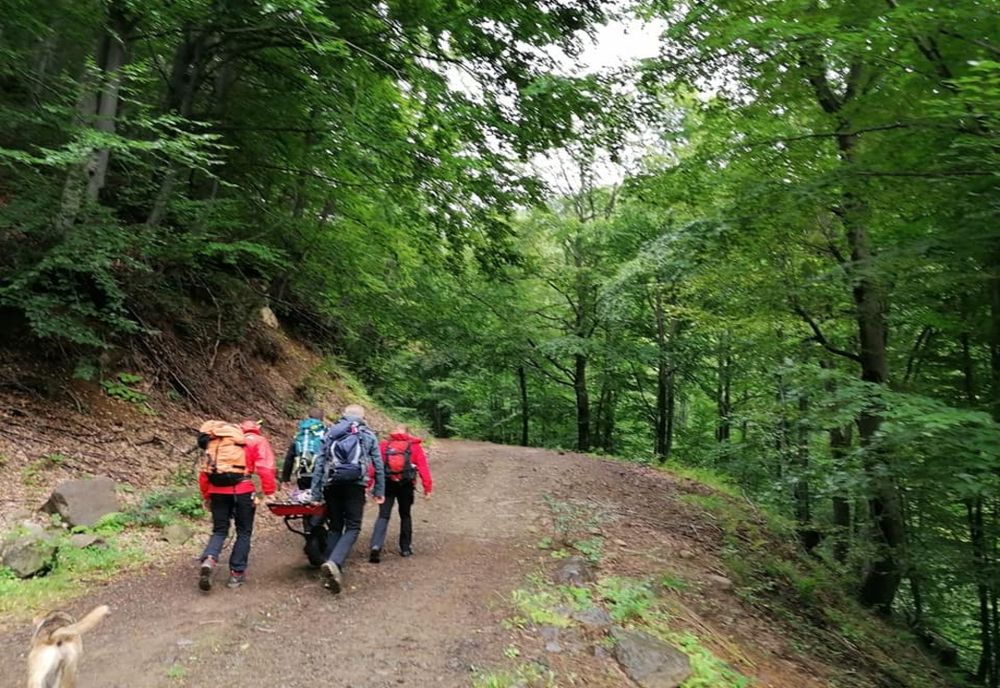 Un bărbat cu dizabilităţi rătăcit în Munţii Gutâi, a fost recuperat de salvamontişti