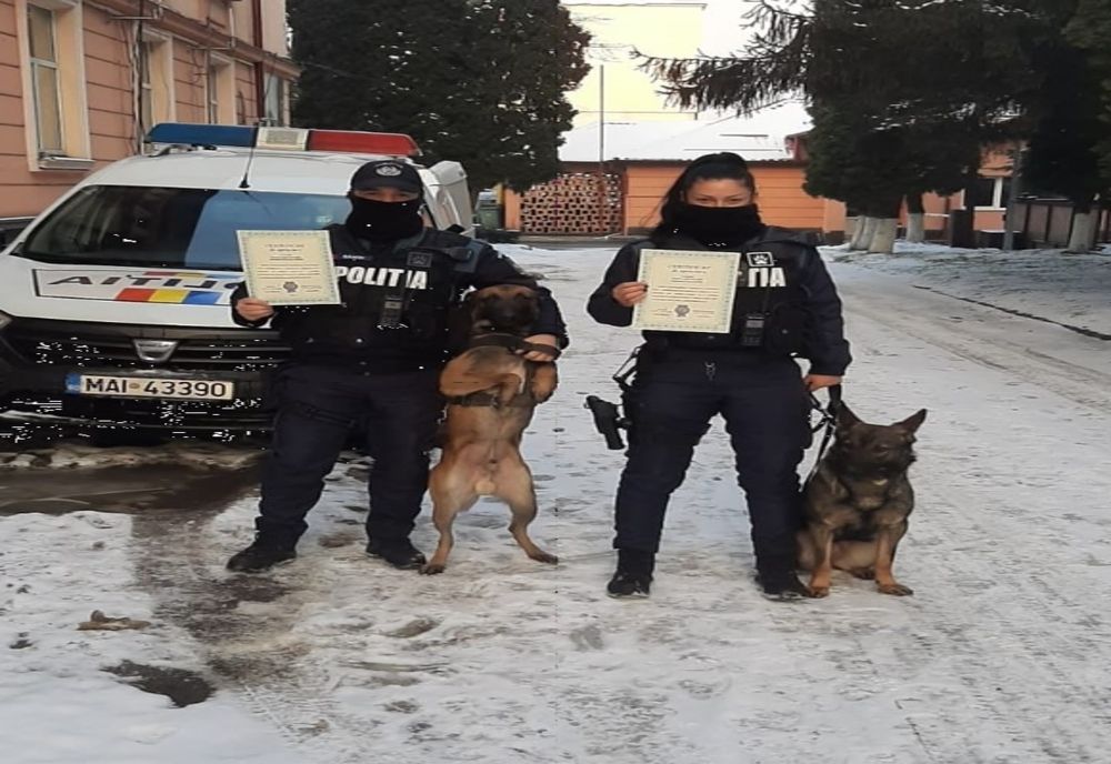 FOTO | Felictari pentru doi agenţi din cadrul Grupei Canine IPJ Maramureş