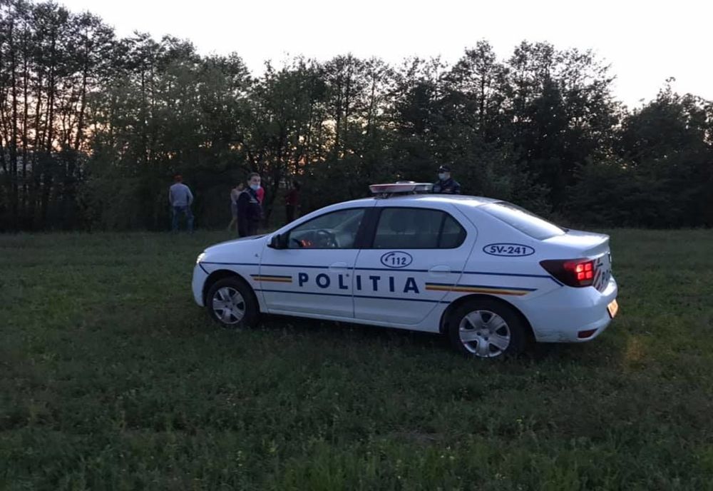 Un tânăr în stare de ebrietate a tăiat coada unui câine! Poliţiştii au deschis dosar penal