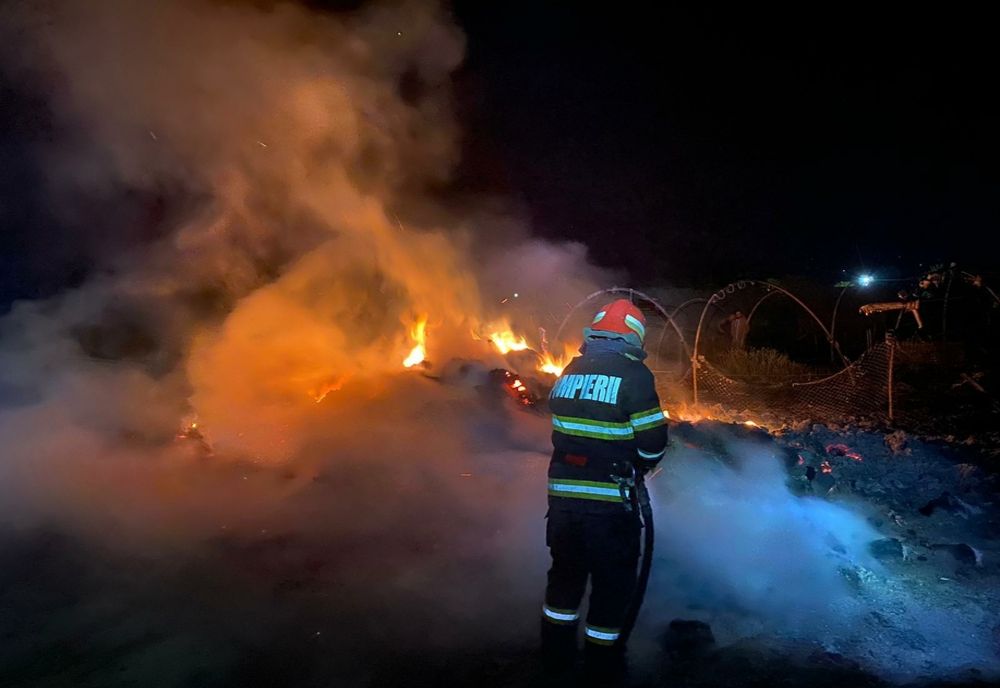 Incendiu de vegetație uscată în Roșiori! Au ars 15 ha