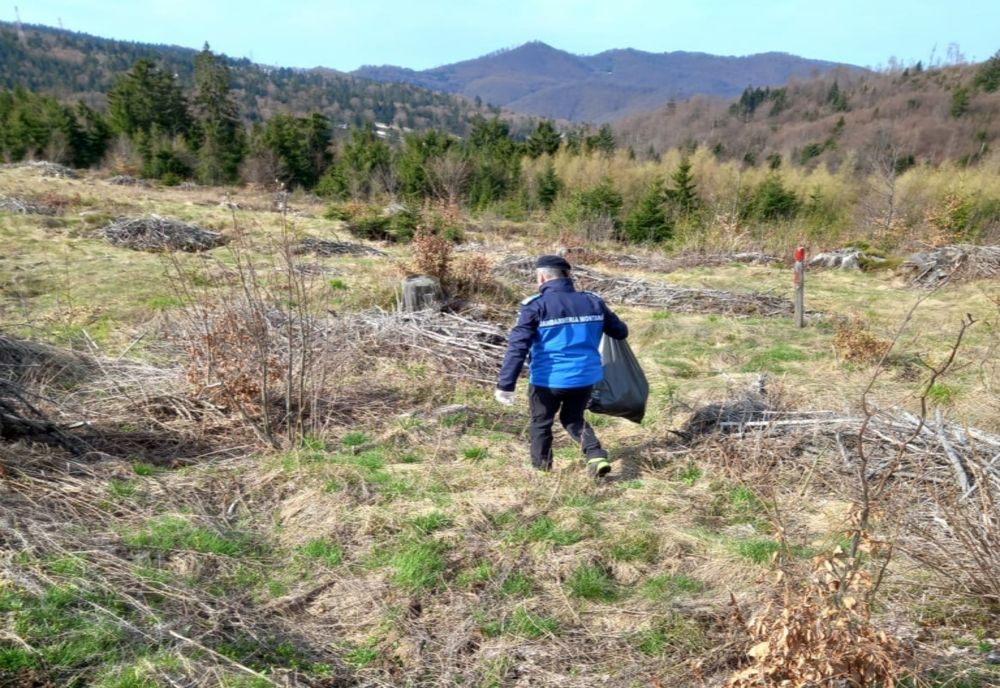 Acţiune de ecologizare derulată de jandarmii din Maramureş (FOTO)