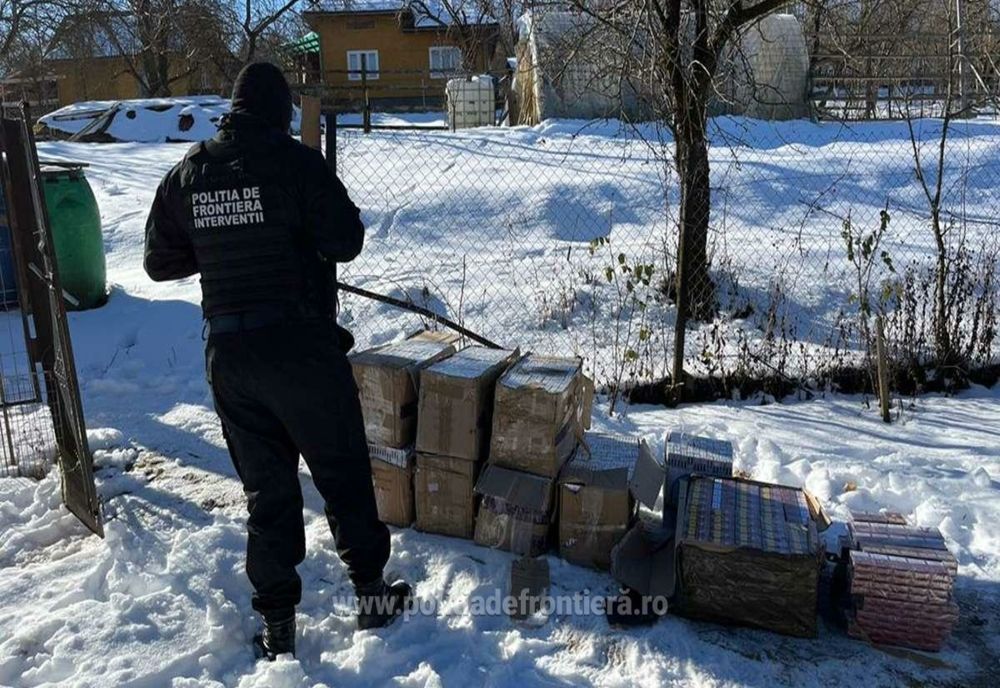 Peste 15.000 pachete cu țigări și sume în valută confiscate în urma unor percheziții în Moisei și Borșa (FOTO)