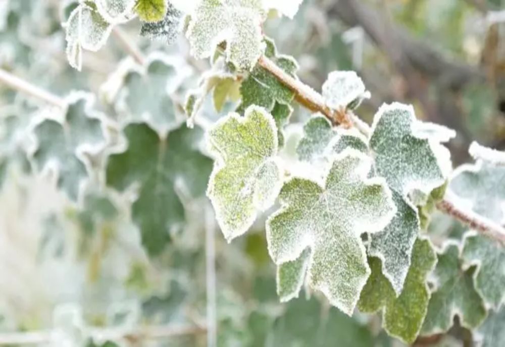 Vremea 20 decembrie - Ce temperaturi se vor înregistra astăzi