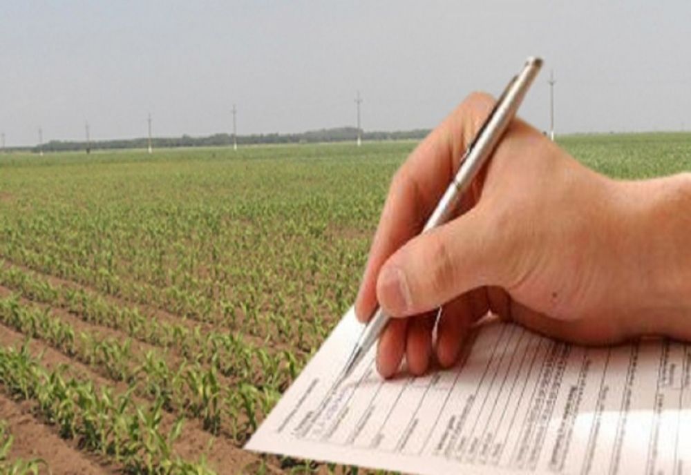 Termenul de depunere a cererilor de plată pentru intervențiile IACS, prelungit până la data de 31 mai 2023 inclusiv