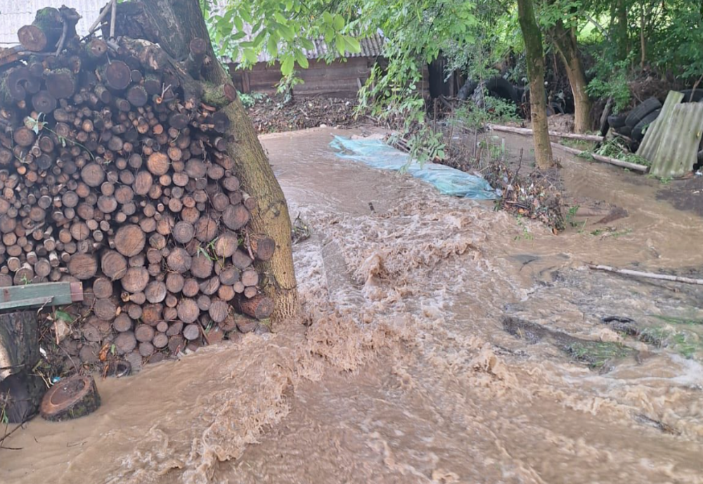 INUNDAȚII ȘI COPACI CĂZUȚI ÎN SIGHETUL MARMAȚIEI DUPĂ O RUPERE DE NORI