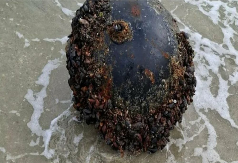 MINĂ MARINĂ DESCOPERITĂ PE PLAJA DE LA VADU, NEUTRALIZATĂ DE MILITARI
