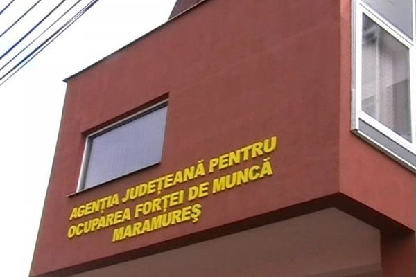 Agenţii economici din Maramureş caută directori şi ingineri