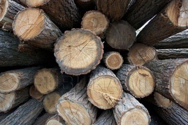 Tractor cu care se transporta ilegal material lemnos, oprit de poliţiştii din Tăuţii Măgherăuş