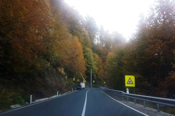 Acțiune de tăiere a arborilor marcați care pot pune în pericol desfășurarea circulației rutiere în Pasul Gutâi