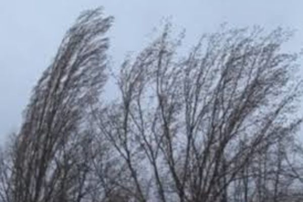 Cod galben de vânt puternic în mai multe județe din țară