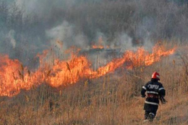 ARDERI NECONTROLATE: Ce amenzi riscă cei care provoacă incendii de vegetație uscată