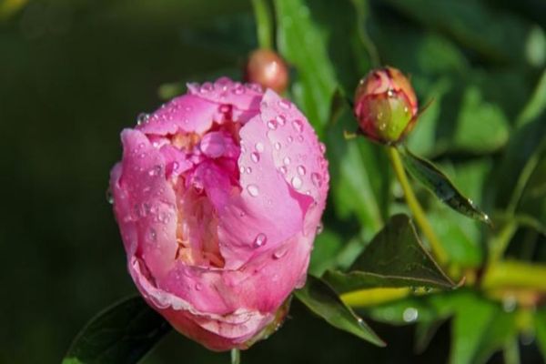 Prognoza meteo pe o lună. Schimbări radicale: cum va fi vremea până pe 18 mai