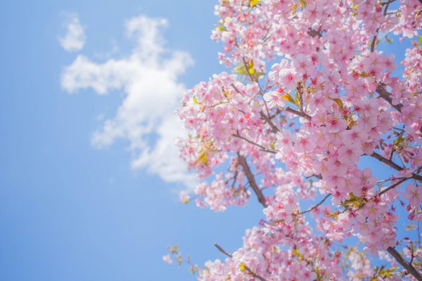 Prognoza meteo pe o lună. Schimbări majore: cum va fi vremea până pe 11 mai