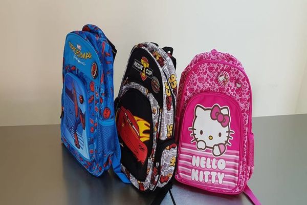 Consiliul Județean Maramureș finanțează cu 195 mii lei implementarea proiectului „Primul ghiozdan”, pentru anul şcolar 2020-2021